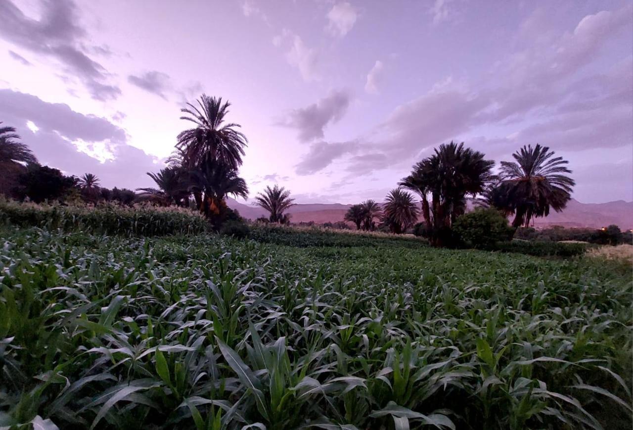 Riad Iriki Tinghir Exterior foto